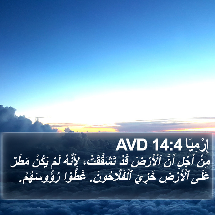 إِرْمِيَا 14:4 AVD Bible Study