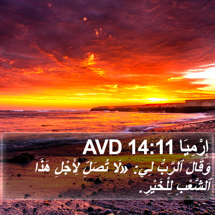 إِرْمِيَا 14:11 AVD Bible Study