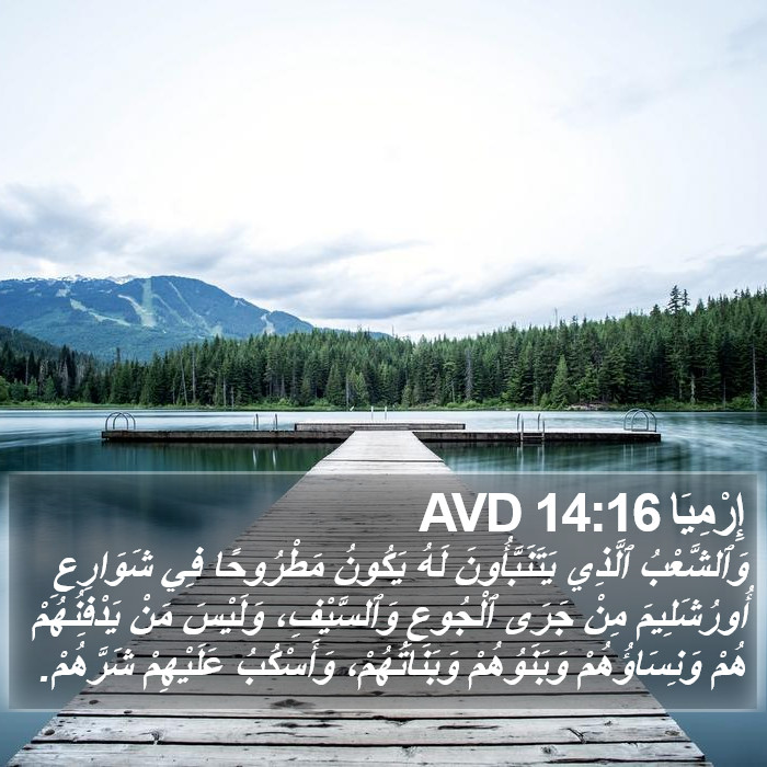 إِرْمِيَا 14:16 AVD Bible Study