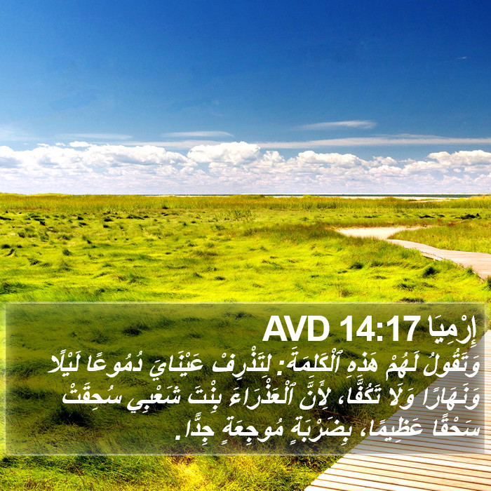 إِرْمِيَا 14:17 AVD Bible Study