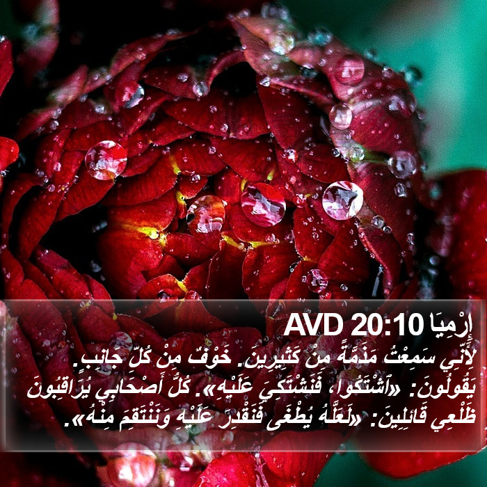 إِرْمِيَا 20:10 AVD Bible Study