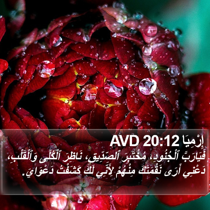 إِرْمِيَا 20:12 AVD Bible Study