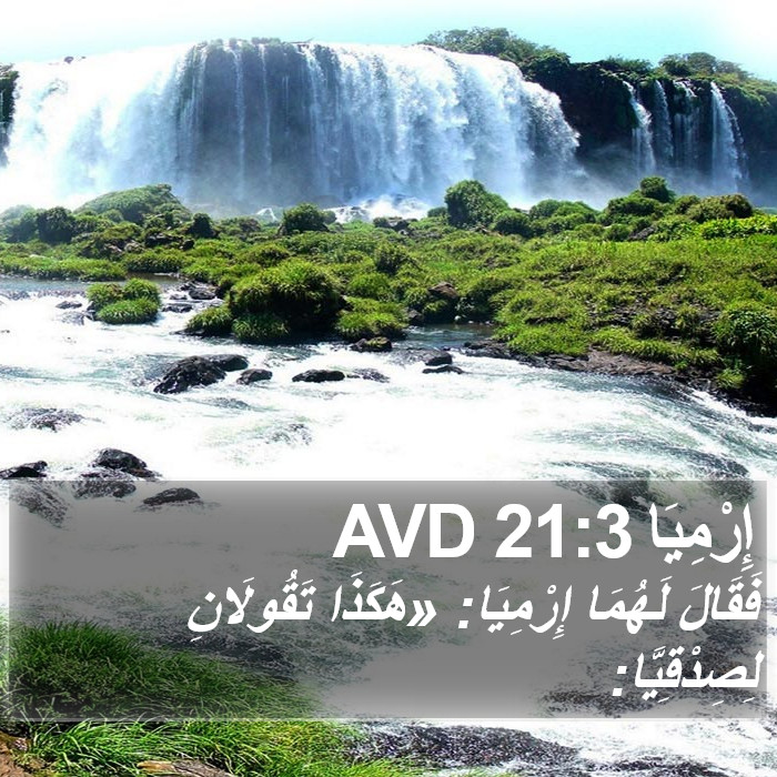 إِرْمِيَا 21:3 AVD Bible Study