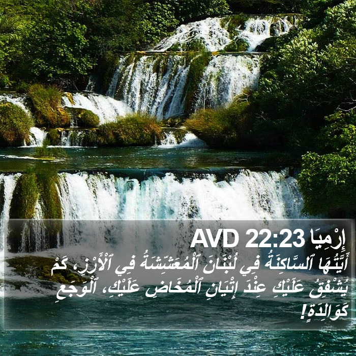 إِرْمِيَا 22:23 AVD Bible Study