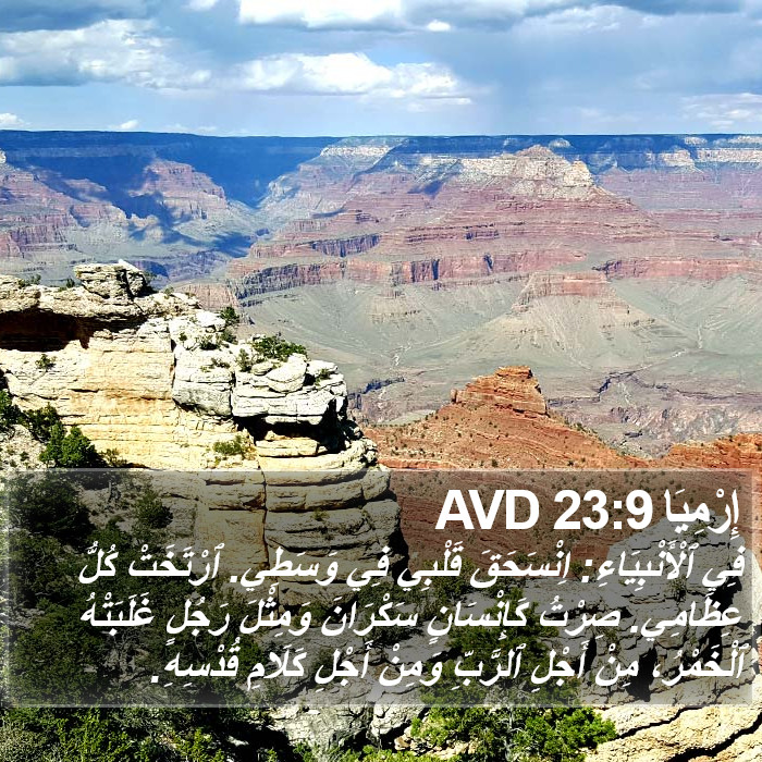 إِرْمِيَا 23:9 AVD Bible Study