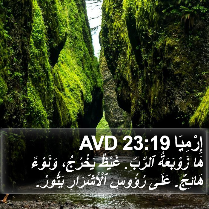 إِرْمِيَا 23:19 AVD Bible Study
