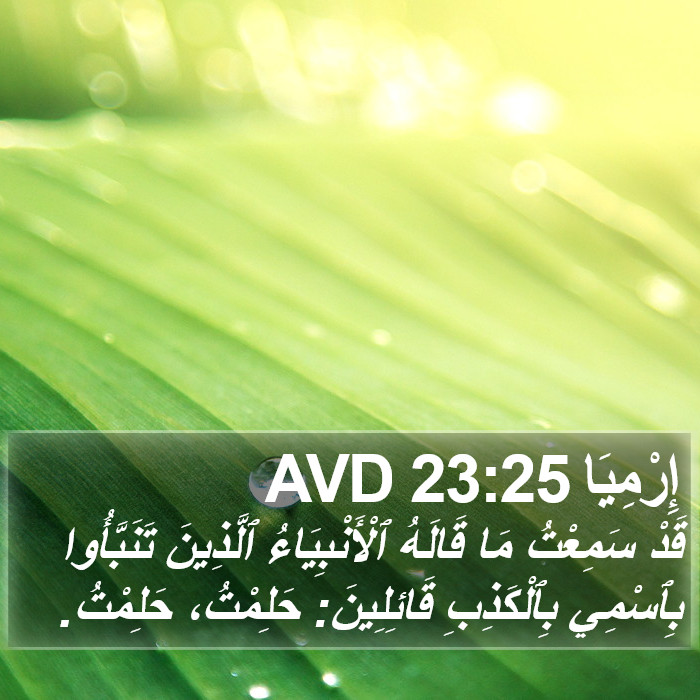 إِرْمِيَا 23:25 AVD Bible Study