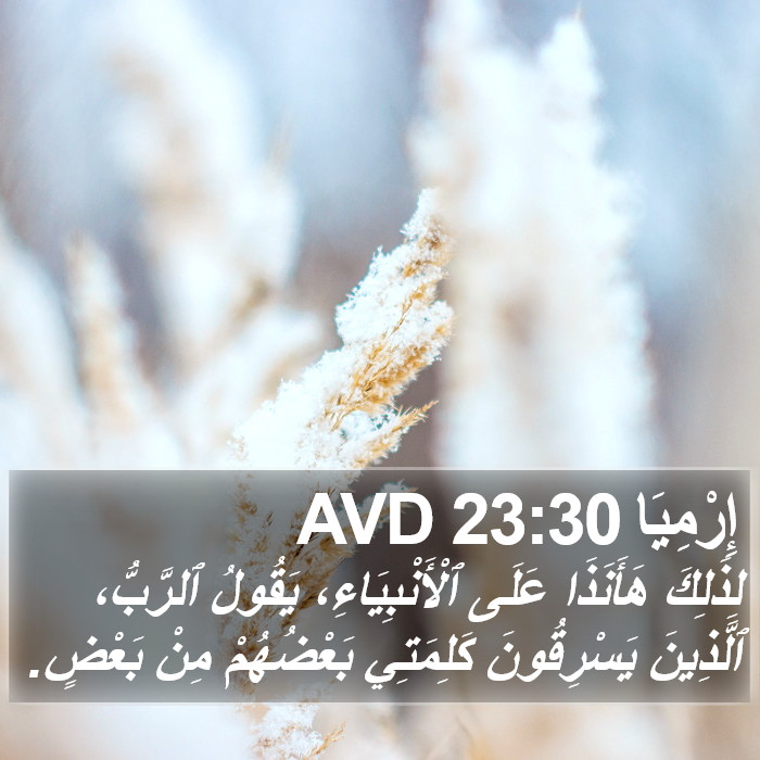 إِرْمِيَا 23:30 AVD Bible Study