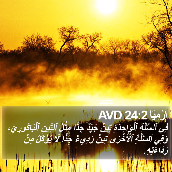 إِرْمِيَا 24:2 AVD Bible Study