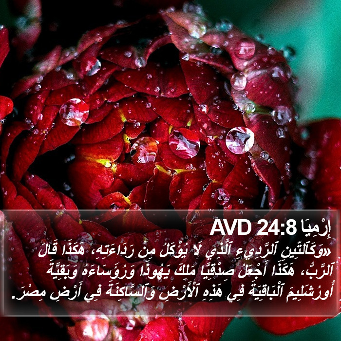 إِرْمِيَا 24:8 AVD Bible Study