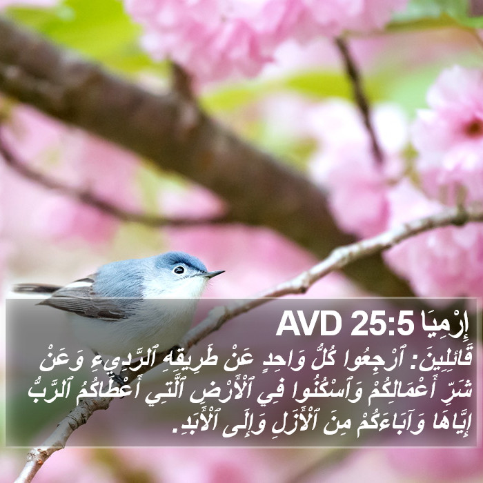 إِرْمِيَا 25:5 AVD Bible Study