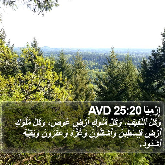 إِرْمِيَا 25:20 AVD Bible Study
