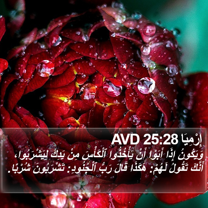 إِرْمِيَا 25:28 AVD Bible Study