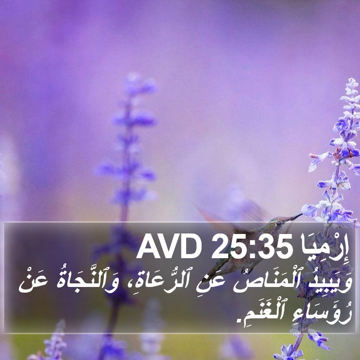 إِرْمِيَا 25:35 AVD Bible Study