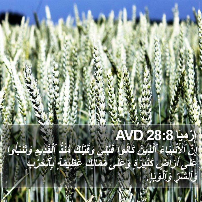 إِرْمِيَا 28:8 AVD Bible Study
