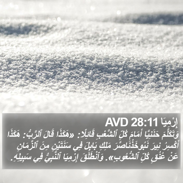 إِرْمِيَا 28:11 AVD Bible Study