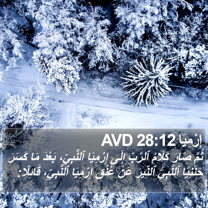 إِرْمِيَا 28:12 AVD Bible Study