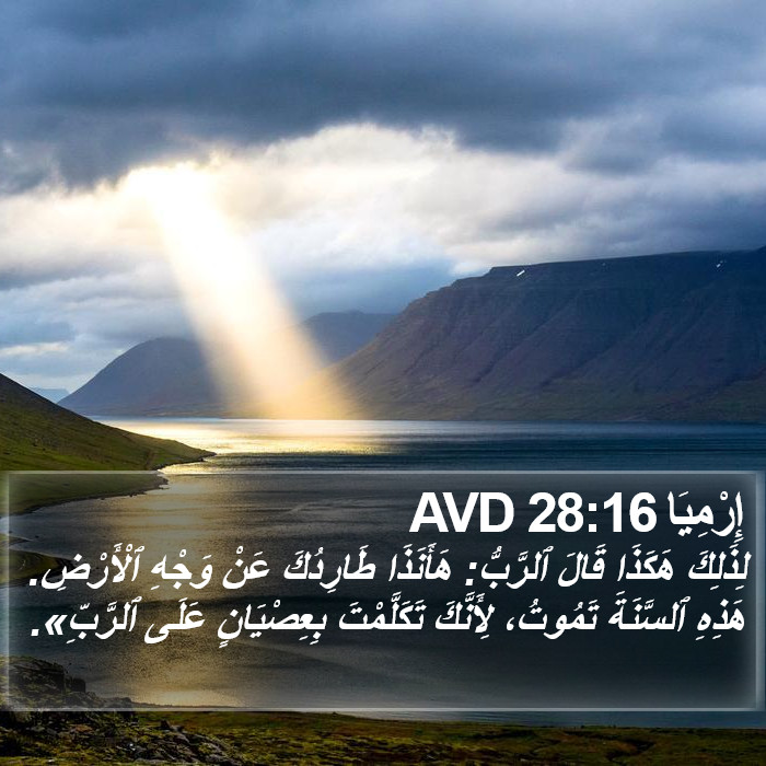 إِرْمِيَا 28:16 AVD Bible Study