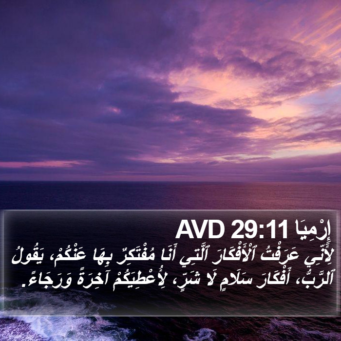 إِرْمِيَا 29:11 AVD Bible Study