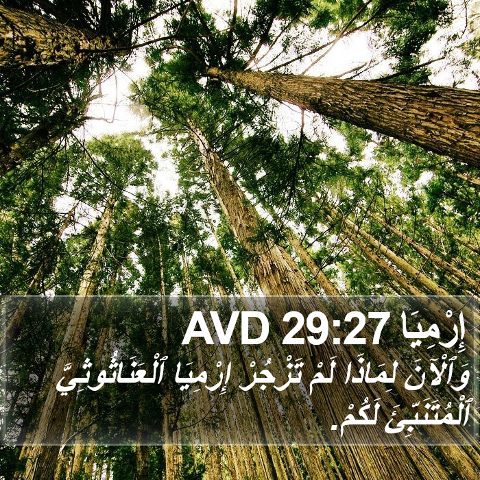 إِرْمِيَا 29:27 AVD Bible Study