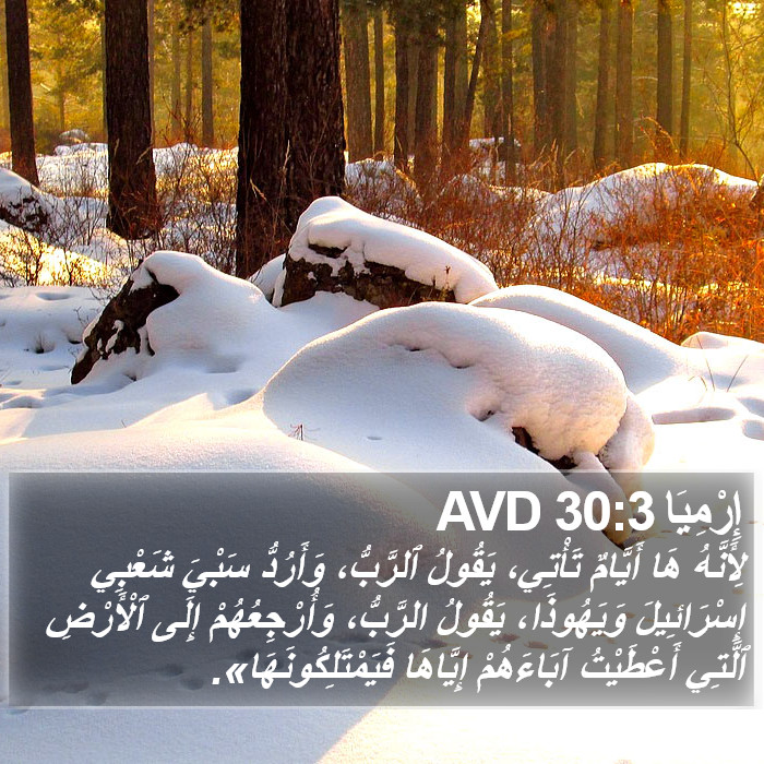 إِرْمِيَا 30:3 AVD Bible Study
