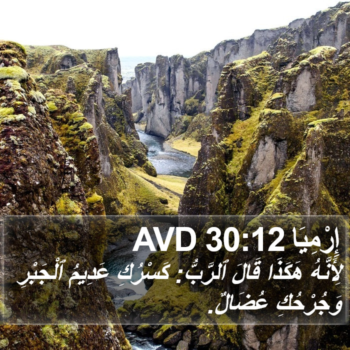إِرْمِيَا 30:12 AVD Bible Study