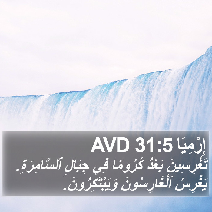 إِرْمِيَا 31:5 AVD Bible Study