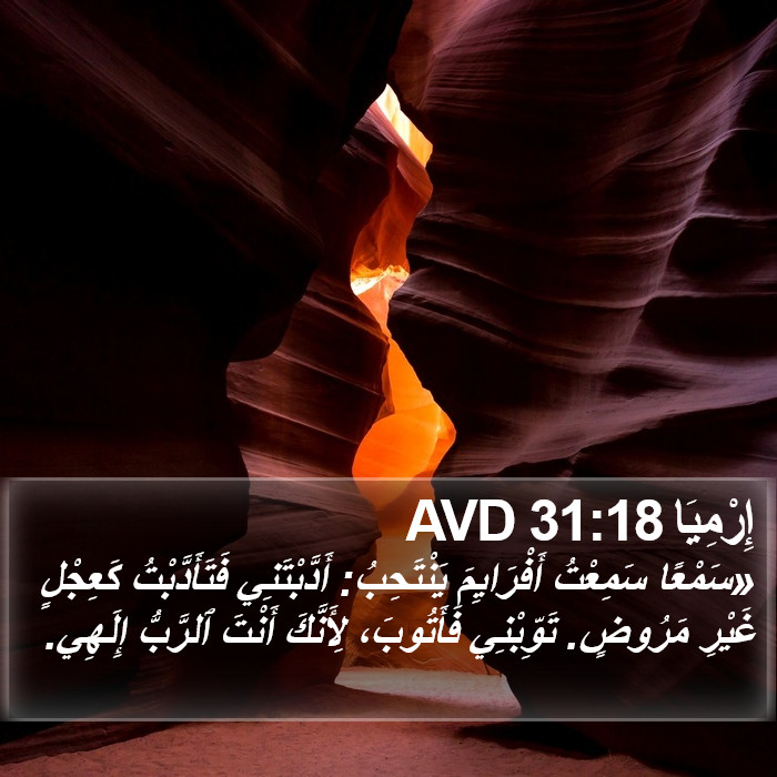 إِرْمِيَا 31:18 AVD Bible Study