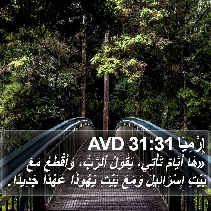 إِرْمِيَا 31:31 AVD Bible Study