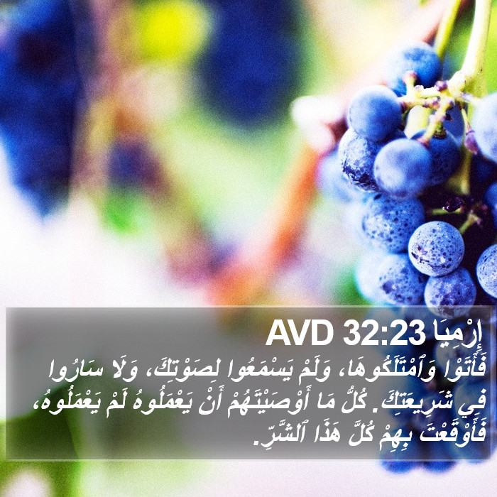 إِرْمِيَا 32:23 AVD Bible Study