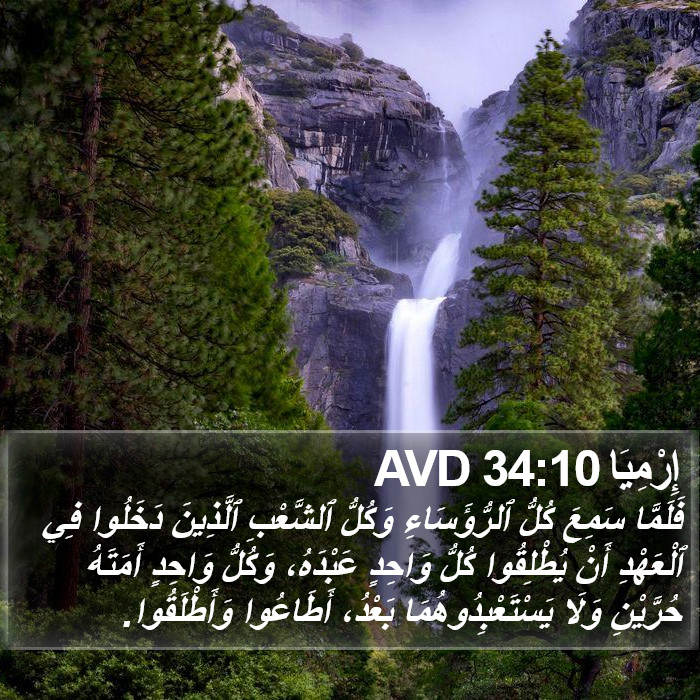 إِرْمِيَا 34:10 AVD Bible Study