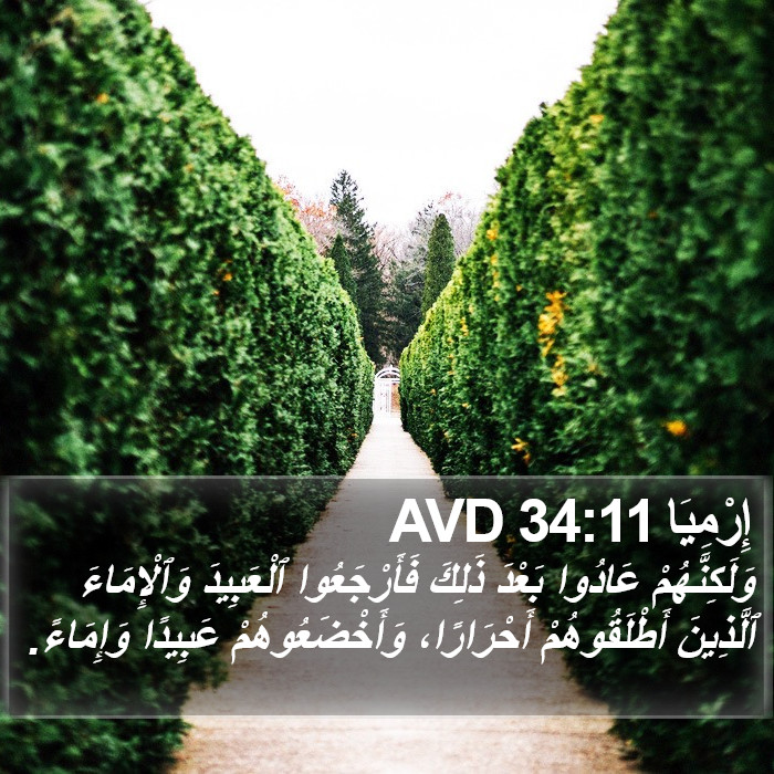 إِرْمِيَا 34:11 AVD Bible Study