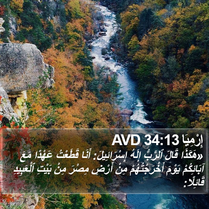 إِرْمِيَا 34:13 AVD Bible Study