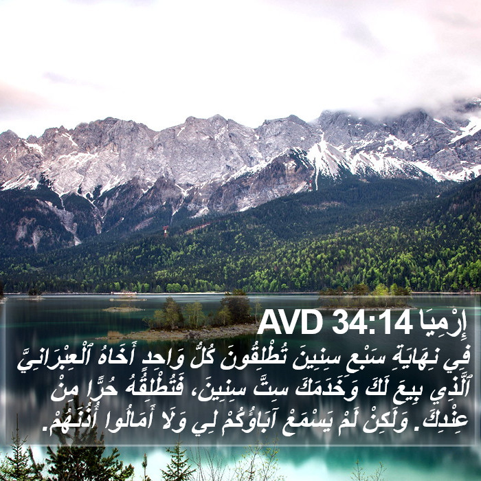 إِرْمِيَا 34:14 AVD Bible Study