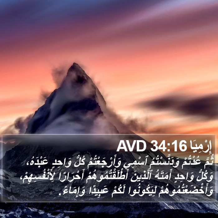 إِرْمِيَا 34:16 AVD Bible Study