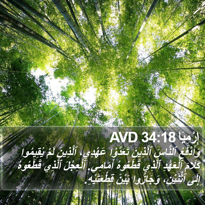 إِرْمِيَا 34:18 AVD Bible Study