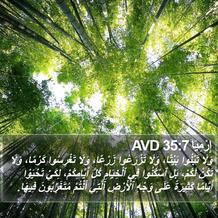 إِرْمِيَا 35:7 AVD Bible Study