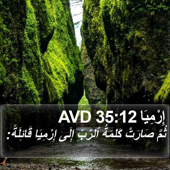 إِرْمِيَا 35:12 AVD Bible Study