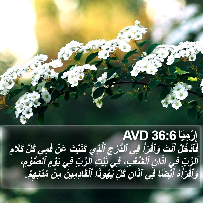 إِرْمِيَا 36:6 AVD Bible Study
