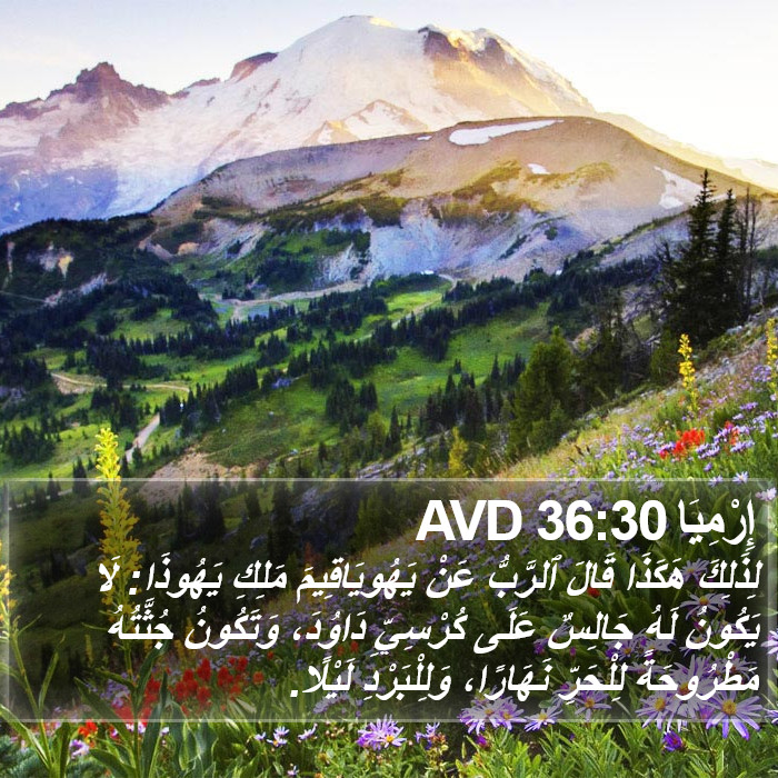 إِرْمِيَا 36:30 AVD Bible Study