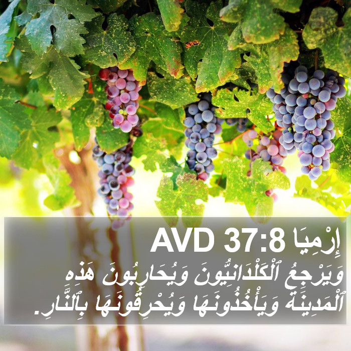 إِرْمِيَا 37:8 AVD Bible Study