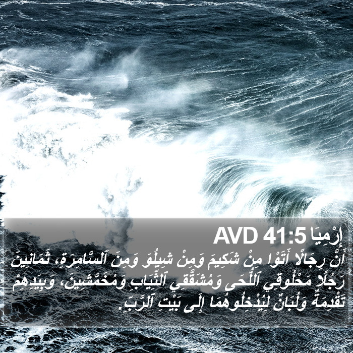 إِرْمِيَا 41:5 AVD Bible Study