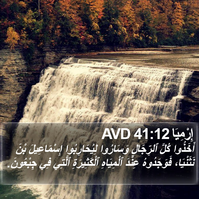 إِرْمِيَا 41:12 AVD Bible Study