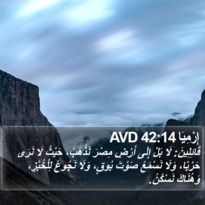 إِرْمِيَا 42:14 AVD Bible Study