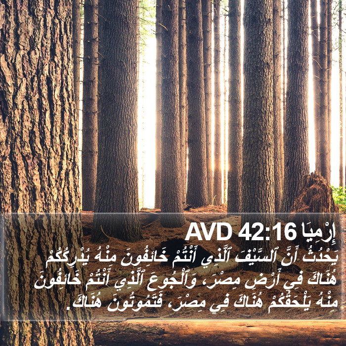 إِرْمِيَا 42:16 AVD Bible Study