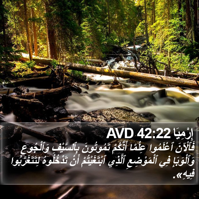 إِرْمِيَا 42:22 AVD Bible Study