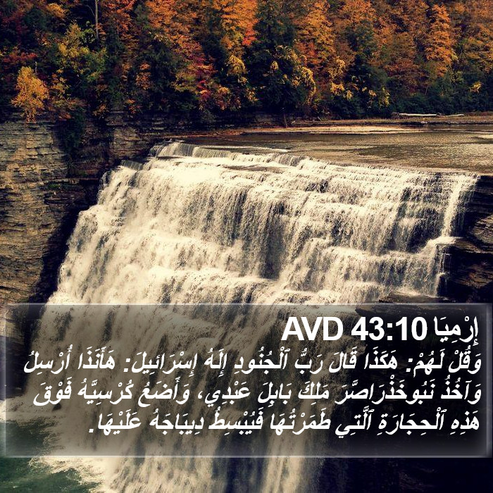 إِرْمِيَا 43:10 AVD Bible Study