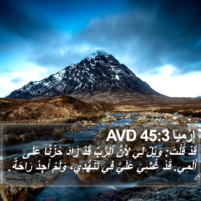 إِرْمِيَا 45:3 AVD Bible Study