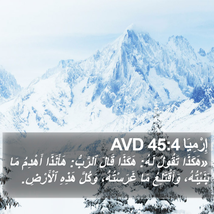 إِرْمِيَا 45:4 AVD Bible Study