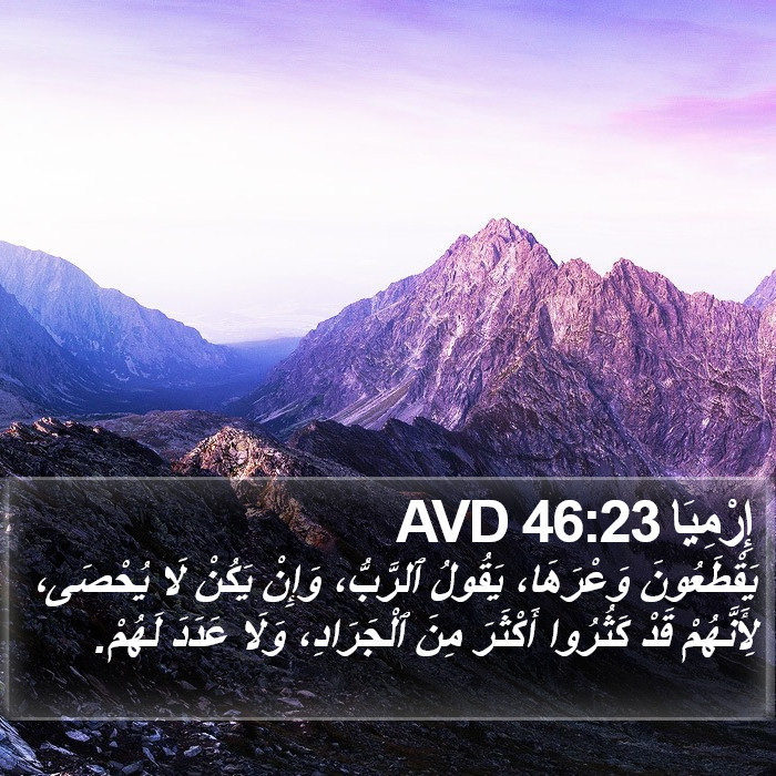 إِرْمِيَا 46:23 AVD Bible Study